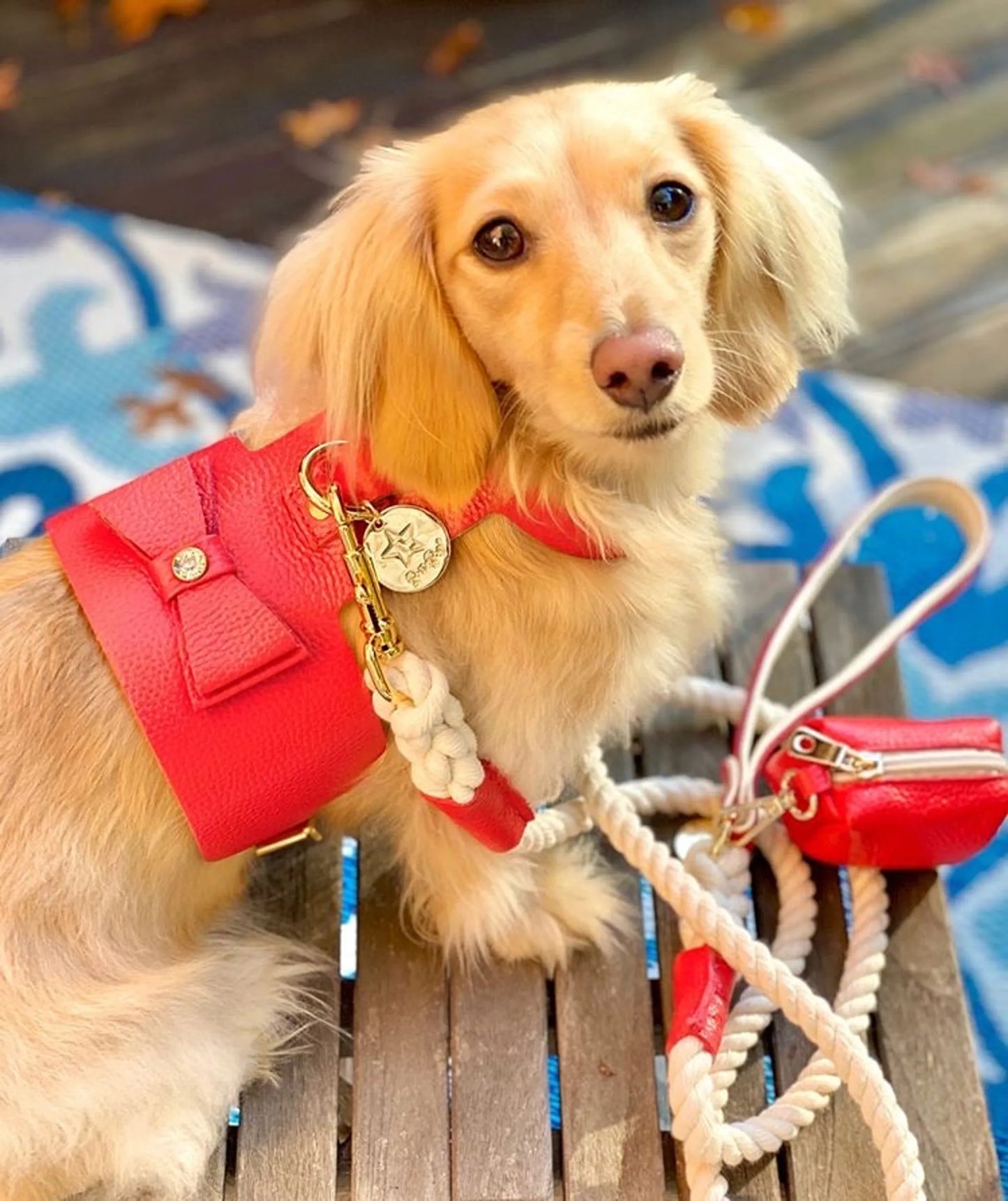 Posh Dog Harness - red