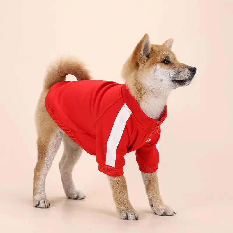 Sporty Dog Winter Essentials - full zip sans hoodie