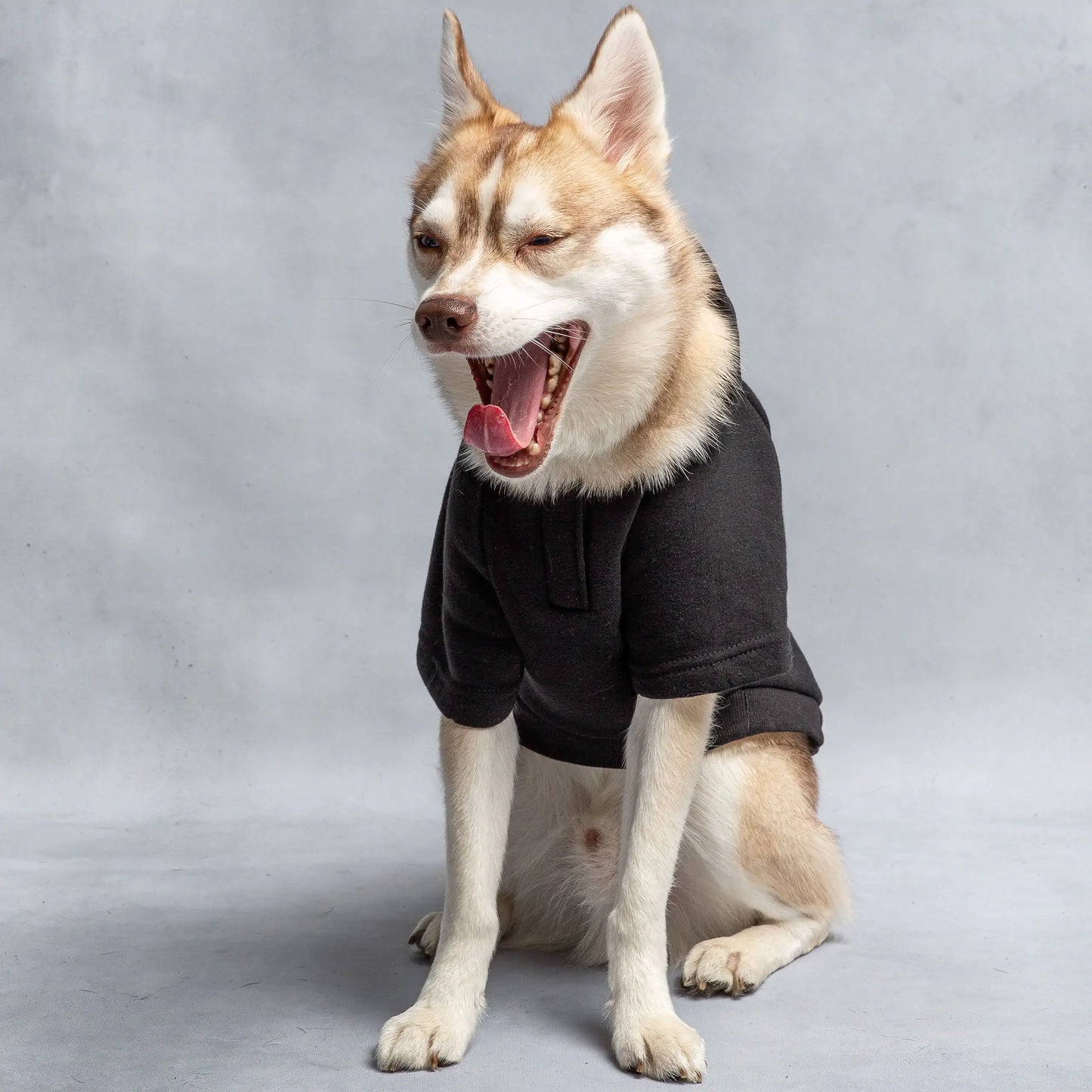 U.S. Army Hooded Dog Fleece