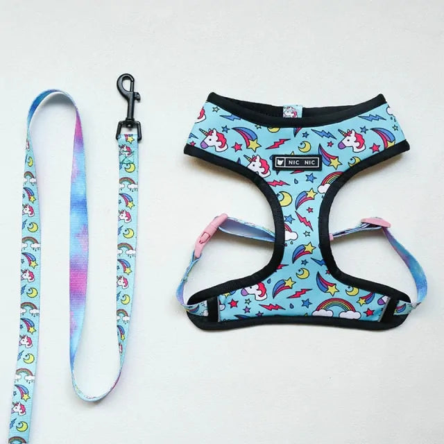 Leash Harness Set For French Bulldog