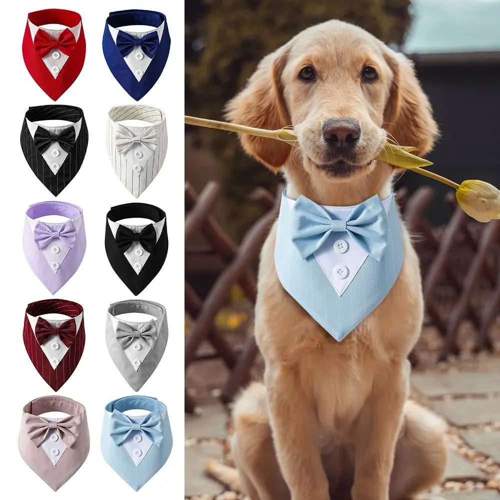 Tuxedo Bow Tie for Your Canine Connoisseur