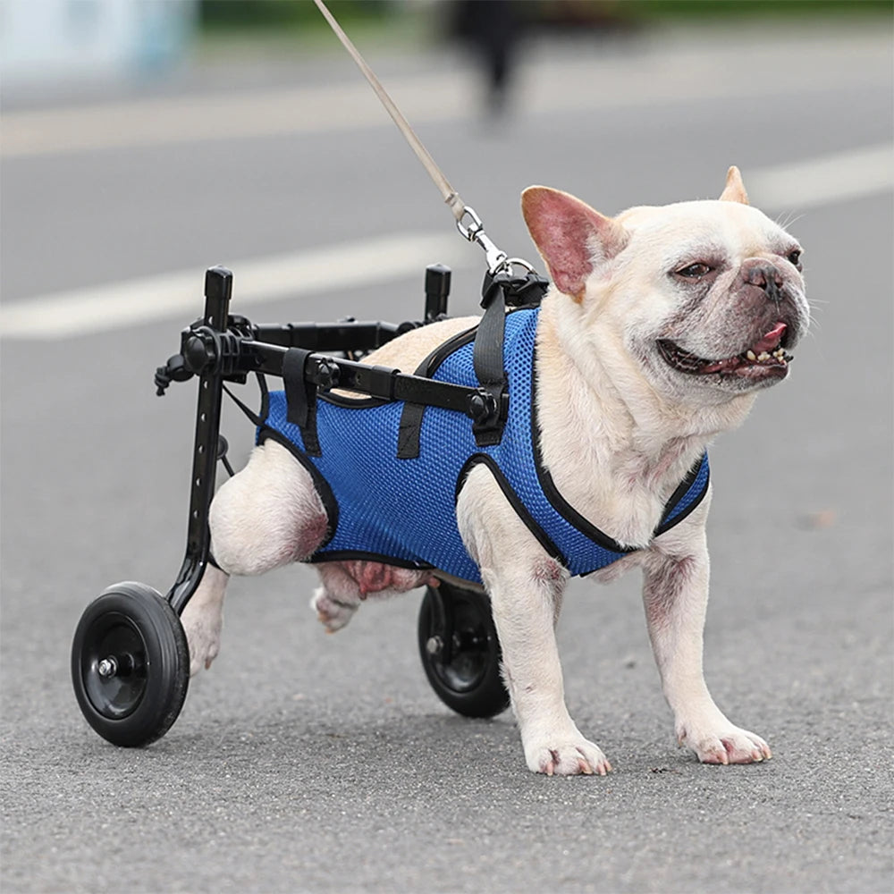 Pet Walk Booster Dog Wheelchair Disability Adjustable Dog Hind Legs Bracket Cat Dog Injured And Weak Rehabilitation Aid Car