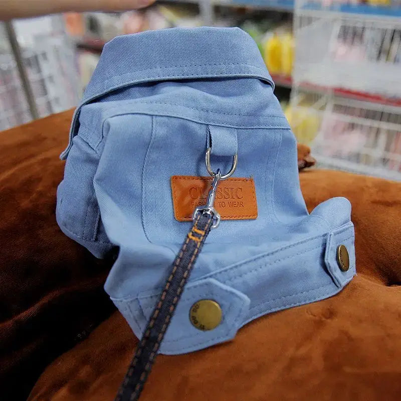 Spring Dog Jacket Denim