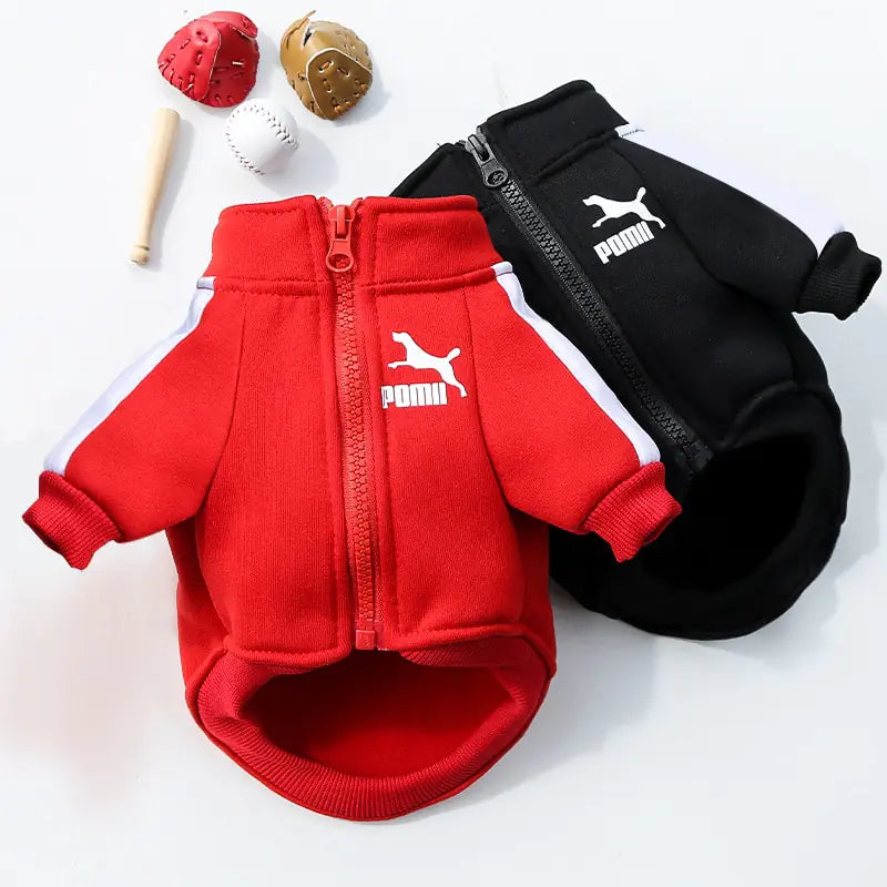 Sporty Dog Winter Essentials - full zip sans hoodie