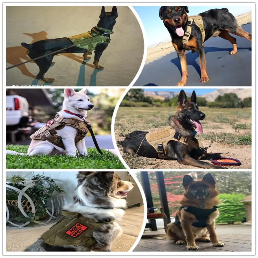 Metal Buckle Tactical Dog Harness and Leash