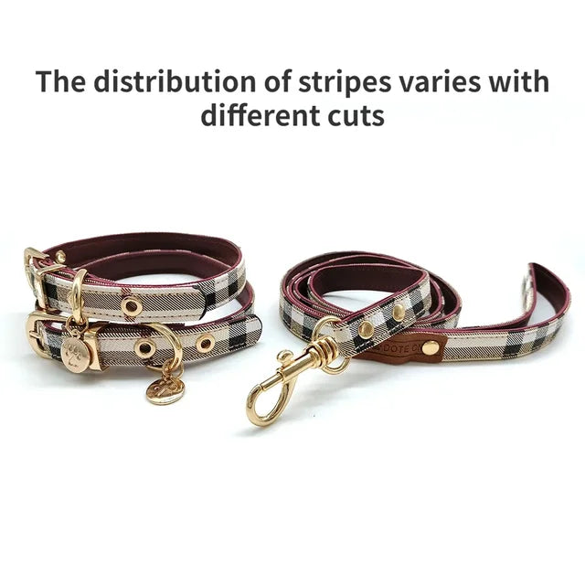 Posh Leather Pet Collar and Leash Set