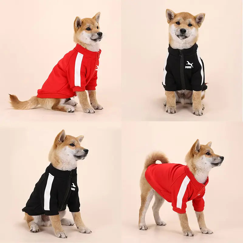 Sporty Dog Winter Essentials - full zip sans hoodie