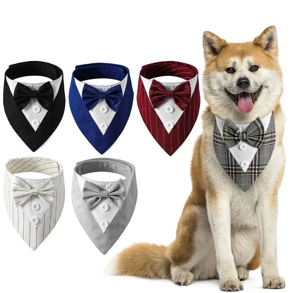 Tuxedo Bow Tie for Your Canine Connoisseur