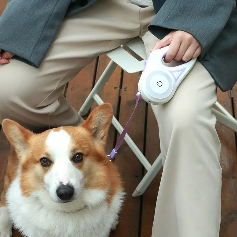 Dog Leash retractable with Led Lights