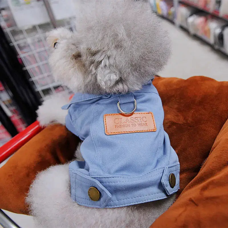 Spring Dog Jacket Denim