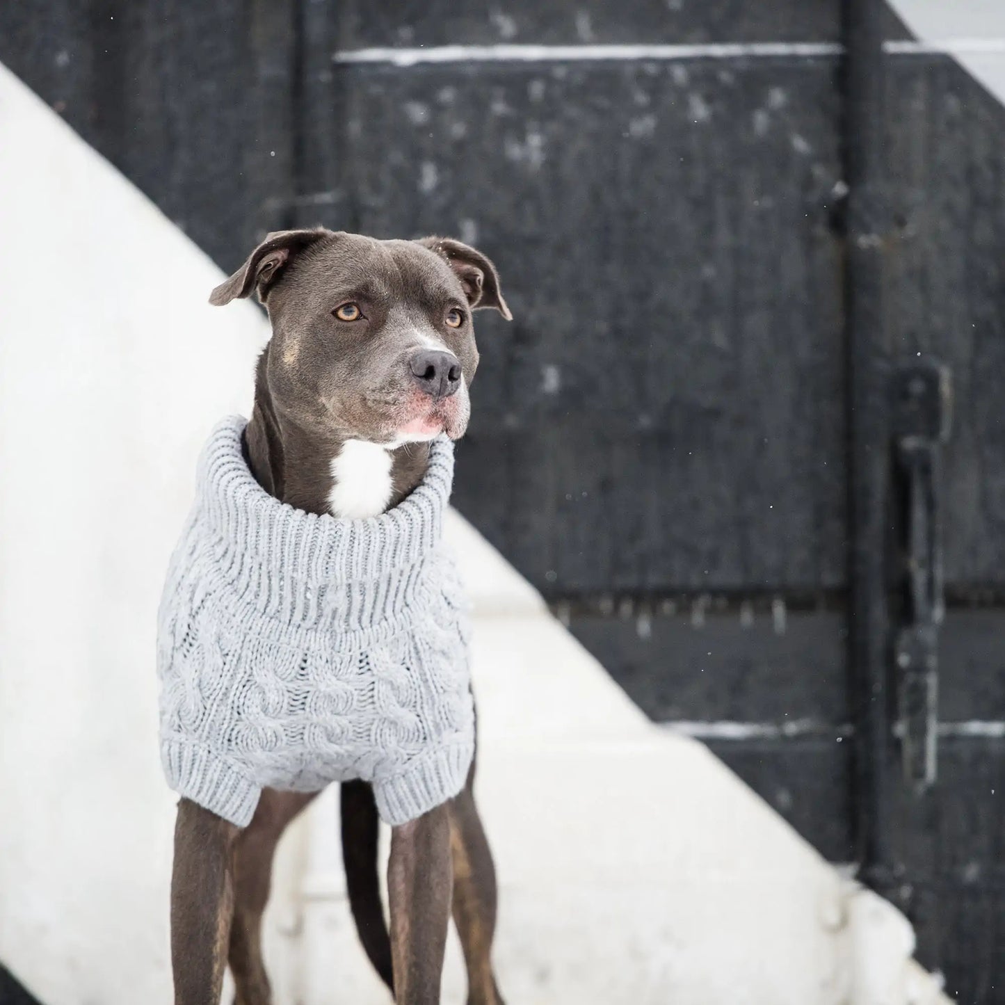 Chunky Nautical Dog Sweater